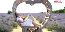 A Londra gli spettacolari campi di lavanda che fanno innamorare i turisti