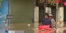 Vietnam, la tempesta Wipha colpisce la provincia di Nghe An: le immagini della devastazione