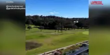 Australia, aereo compie un atterraggio di emergenza sul campo di un golf club: le incredibili immagini