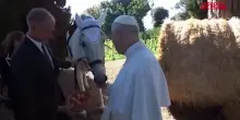 Papa Leone accarezza e nutre due cavalli