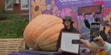 Russia, un agricoltore coltiva una zucca gigante da quasi una tonnellata