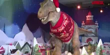 Londra, il T-Rex del Museo di Storia Naturale sfoggia il maglione natalizio