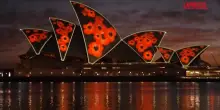 Australia, Remembrance Day: papaveri rossi alla Sydney Opera House