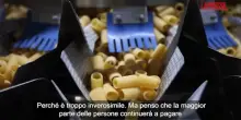 Usa, i dazi sulla pasta spaventano importatori americani ed esportatori italiani