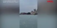 Venezia, le acrobazie del delfino Mimmo in laguna