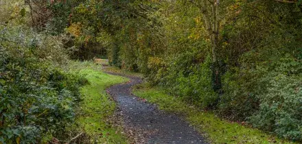 Famiglia vive nel bosco senza luce e acqua, il giudice allontana i 3 figli. L’avvocato: “Faremo ricorso”