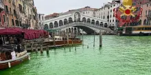 Venezia, acqua verde dal Ponte di Rialto: verifiche e campionamenti