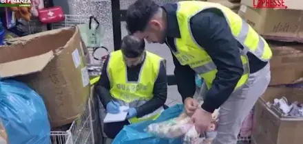 Livorno, Labubu contraffatti: le immagini del maxi sequestro a Cecina e Pisa