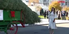 Melania Trump accoglie l’albero di Natale della Casa Bianca, il video