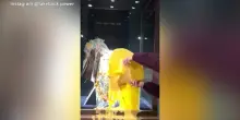 Londra, crumble e crema pasticcera contro i Gioielli della Corona: il video sui social
