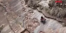 Bolivia, nel parco di Toro Toro il record di impronte di dinosauri: "Sito unico"