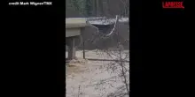 Usa: inondazioni e forti piogge, il crollo di un ponte in Montana