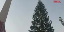 Natale, ultimi preparativi in Vaticano per inaugurazione albero e presepe