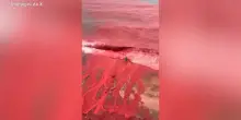 Iran, il mare e le spiagge si tingono di rosso sangue: lo straordinario fenomeno