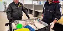 Aeroporto Linate, sequestrate 6,5 tonnellate di alimenti non sicuri