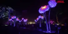 San Francisco, le installazioni artistiche &ldquo;Lightscape&rdquo; al Golden Gate Park