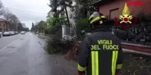 Maltempo in Romagna: pioggia e vento, vigili del fuoco al lavoro nel Forlivese