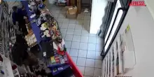 Bologna, due arresti per rapina in tabaccheria: le immagini di videosorveglianza
