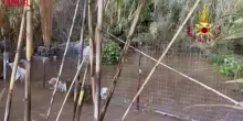 Cagliari, il salvataggio di nove cani in difficolt&agrave; dopo l&rsquo;esondazione del Rio Piscinas