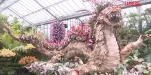 Londra, il festival delle orchidee celebra la biodiversit&agrave; della Cina