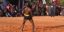 Nigeria, al festival di Argungu va in scena la Dambe: le immagini dei combattimenti