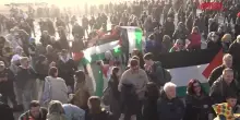 La furia di Francesca Pascale contro i manifestanti Pro Pal al Carnevale di Viareggio: "Vergogna, lavatevi"