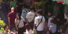 Hong Kong, mercato dei fiori affollato alla vigilia del Capodanno Lunare