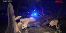 Usa, decine di alberi abbattuti dalla tempesta a Boston