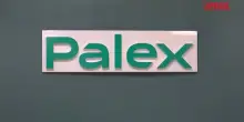 Sanit&agrave;, robotica e innovazione: Palex Italia punta sulla chirurgia del futuro