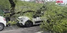 Milano, ramo di albero caduto su auto per il forte vento