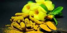 Curcuma &lsquo;Giano bifronte&rsquo;, i rischi dell&rsquo;integratore secondo la scienza
