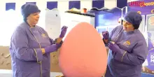 Cadbury crea uovo di Pasqua gigante da 55 kg: il Mega Mini Egg