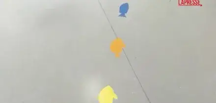 Milano, nuova terapia intensiva pediatrica allOspedale Niguarda: le immagini