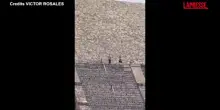 Messico, spara tra la folla alle piramidi di Teotihuacan: morto turista canadese