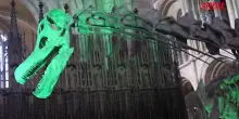 Regno Unito, il calco di dinosauro pi&ugrave; grande del mondo in mostra alla cattedrale di Peterborough