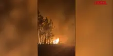 Usa, vasto incendio boschivo divampa nella contea di Clinch in Georgia