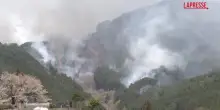Giappone, incendi devastano il nord-est del paese: in fiamme 730 ettari di bosco