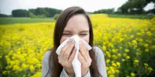 Allergie respiratorie, la minaccia invisibile sul posto di lavoro