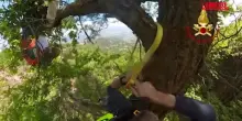 Torino, parapendista rimane impigliato su un albero: lintervento dei Vigili del fuoco