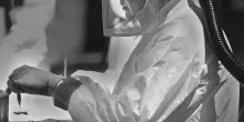 Hantavirus, i rischi per la popolazione e l&rsquo;analisi della specialista