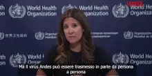 Hantavirus, Oms: "Grave malattia infettiva ma non &egrave; il prossimo Covid"