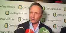 Agricoltura, Lollobrigida: "Non si &egrave; parlato di togliere sanzioni ai fertilizzanti russi"