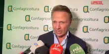 Rialzo prezzi, Lollobrigida: "In settimana incontro con Urso e grande distribuzione"