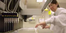 Tumori, il Lazio punta sui Molecular tumor board per cure personalizzate