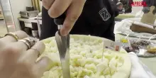 Agroalimentare, Pecorino Romano a Tuttofood: "Filiera solida in mercato internazionale"