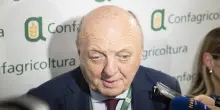 Nucleare in Italia, Pichetto: &ldquo;Lo avremo verso la met&agrave; del prossimo decennio&rdquo;