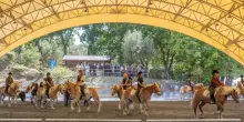 San Raffaele, 40 anni di riabilitazione equestre: &ldquo;Cavallo mediatore terapeutico&rdquo;
