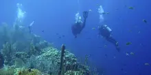 Italiani morti alle Maldive, cos&rsquo;&egrave; la narcosi da azoto: sintomi e rischi