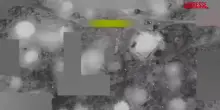 Nigeria: video mostra lattacco delle forze Usa contro lo Stato Islamico