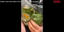 Australia, trovano una rana viva in una busta di insalata: il video